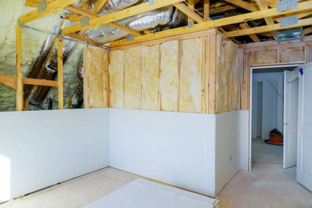 Insulation Repair Services in Mount Vernon, MD