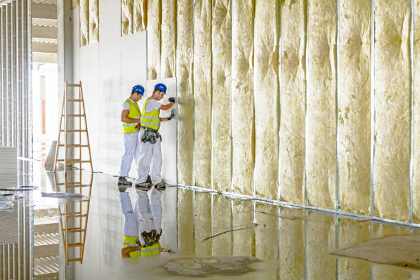 Insulation Inspection Services in Mount Vernon, MD